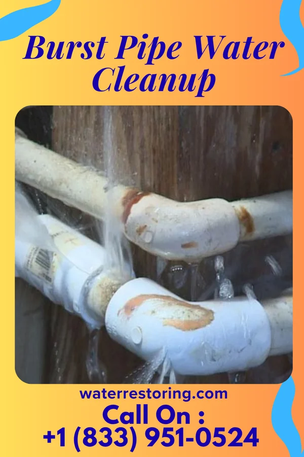 Burst Pipe Water Cleanup in Harrisburg, PA