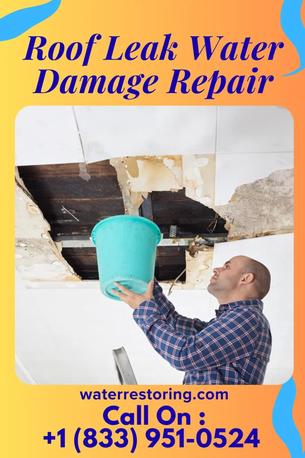 Roof Leak Water Damage Repair in Harrisburg, PA